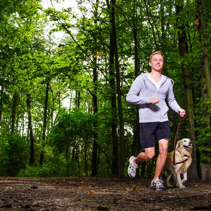 Der sportliche Spaziergang